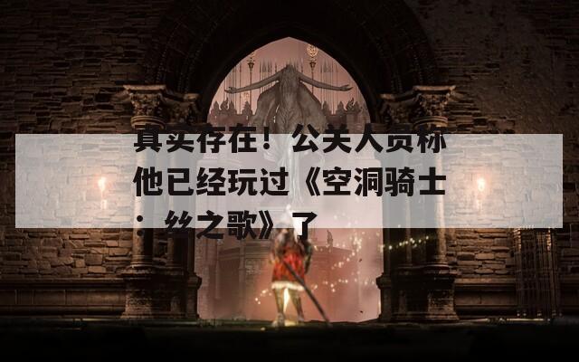 真实存在！公关人员称他已经玩过《空洞骑士：丝之歌》了  第1张