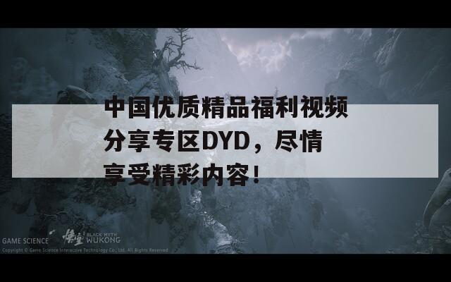 中国优质精品福利视频分享专区DYD，尽情享受精彩内容！  第1张