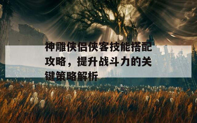 神雕侠侣侠客技能搭配攻略，提升战斗力的关键策略解析  第1张