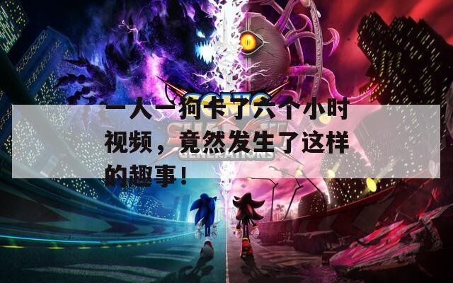 一人一狗卡了六个小时视频，竟然发生了这样的趣事！