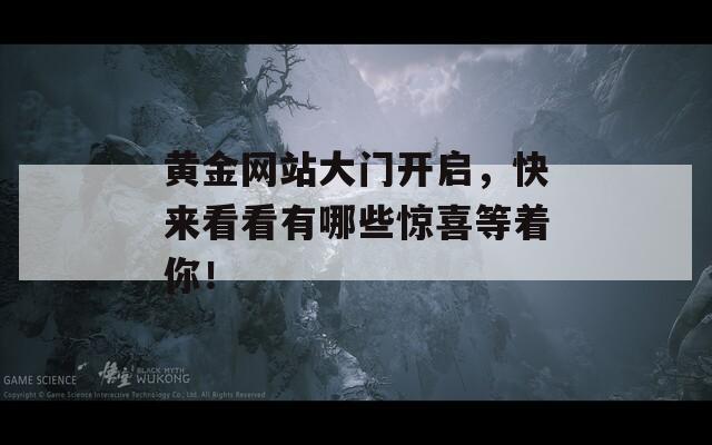 黄金网站大门开启，快来看看有哪些惊喜等着你！  第1张