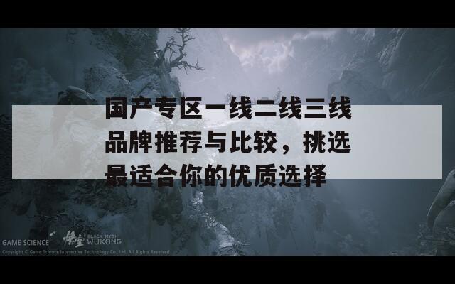 国产专区一线二线三线品牌推荐与比较，挑选最适合你的优质选择