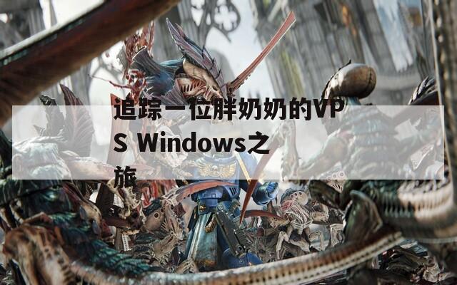 追踪一位胖奶奶的VPS Windows之旅  第1张