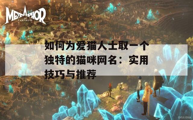 如何为爱猫人士取一个独特的猫咪网名：实用技巧与推荐  第1张