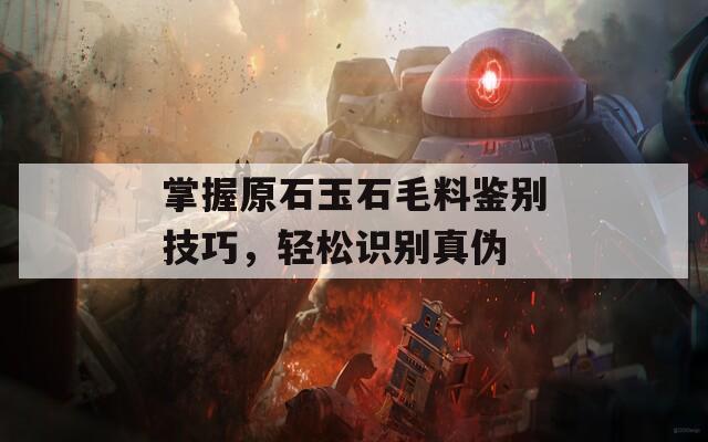 掌握原石玉石毛料鉴别技巧，轻松识别真伪  第1张