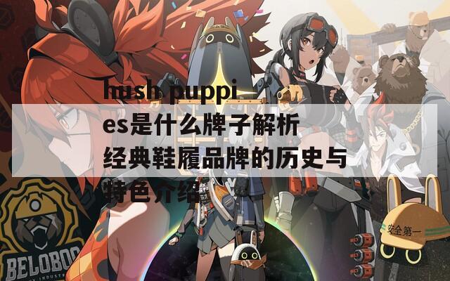 hush puppies是什么牌子解析 经典鞋履品牌的历史与特色介绍