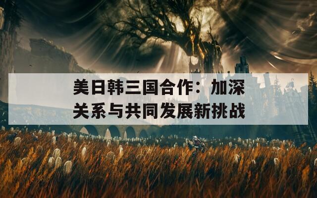 美日韩三国合作：加深关系与共同发展新挑战  第1张