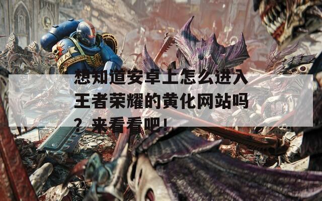 想知道安卓上怎么进入王者荣耀的黄化网站吗？来看看吧！  第1张