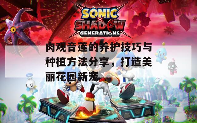 肉观音莲的养护技巧与种植方法分享，打造美丽花园新宠