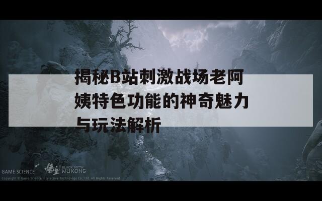揭秘B站刺激战场老阿姨特色功能的神奇魅力与玩法解析