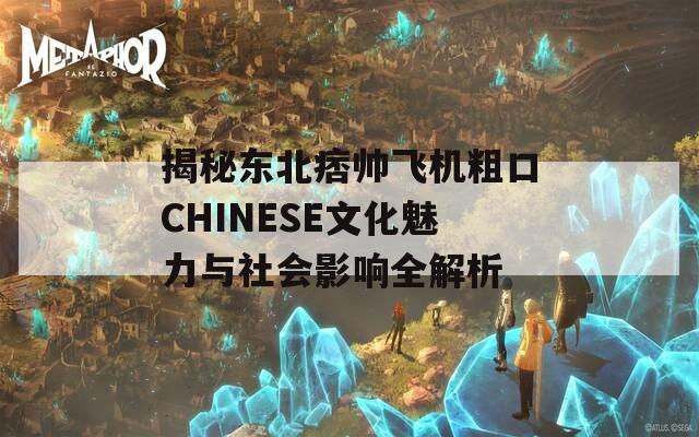 揭秘东北痞帅飞机粗口CHINESE文化魅力与社会影响全解析