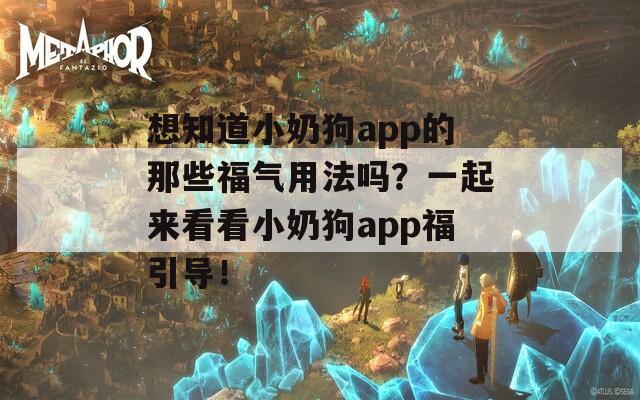 想知道小奶狗app的那些福气用法吗？一起来看看小奶狗app福引导！  第1张