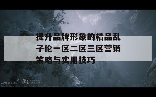 提升品牌形象的精品乱子伦一区二区三区营销策略与实用技巧  第1张