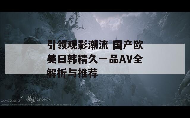 引领观影潮流 国产欧美日韩精久一品AV全解析与推荐  第1张