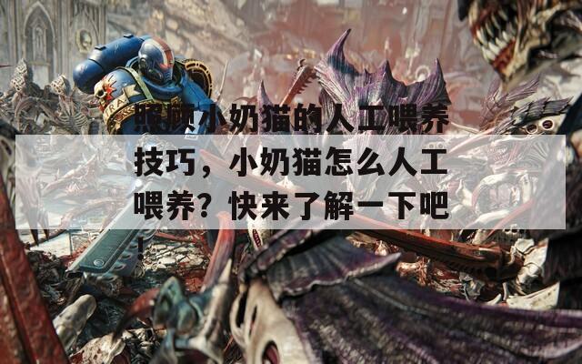 照顾小奶猫的人工喂养技巧，小奶猫怎么人工喂养？快来了解一下吧！  第1张