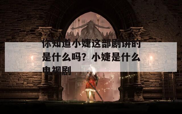 你知道小婕这部剧讲的是什么吗？小婕是什么电视剧  第1张