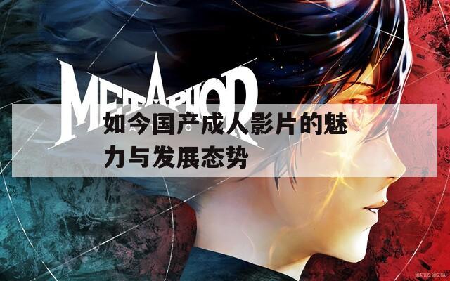 如今国产成人影片的魅力与发展态势  第1张