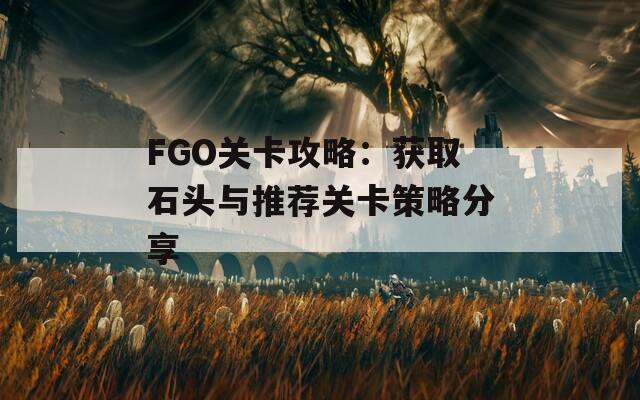 FGO关卡攻略：获取石头与推荐关卡策略分享  第1张