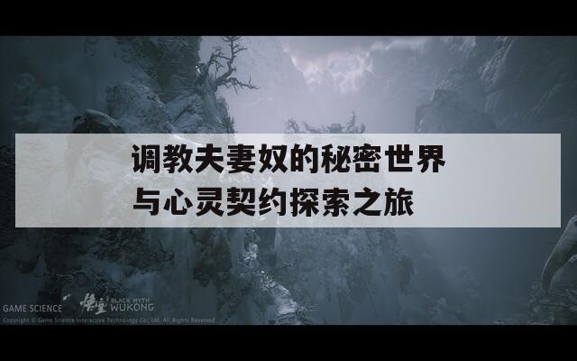 调教夫妻奴的秘密世界与心灵契约探索之旅  第1张
