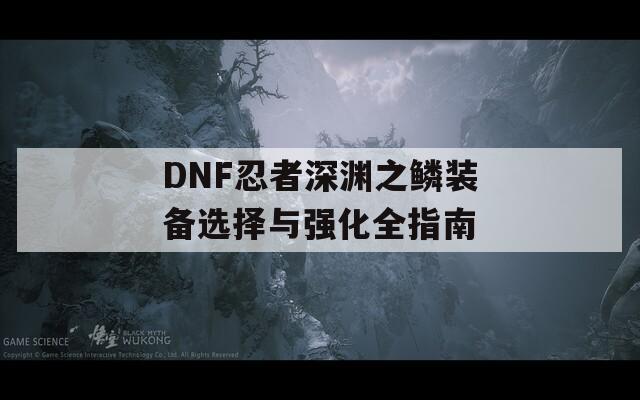 DNF忍者深渊之鳞装备选择与强化全指南  第1张