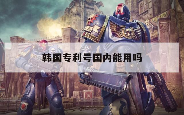 韩国专利号国内能用吗
