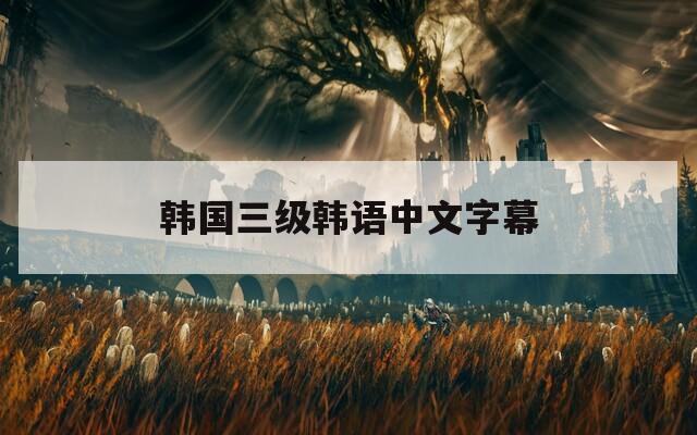 韩国三级韩语中文字幕  第1张