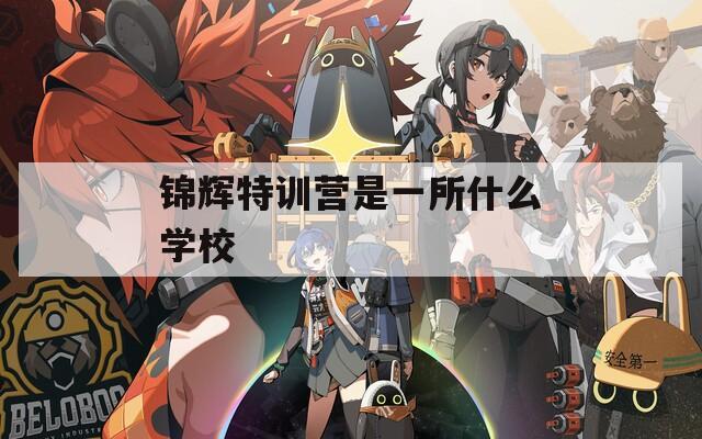 锦辉特训营是一所什么学校  第1张