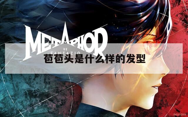 苞苞头是什么样的发型  第1张