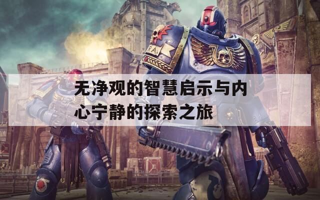 无净观的智慧启示与内心宁静的探索之旅