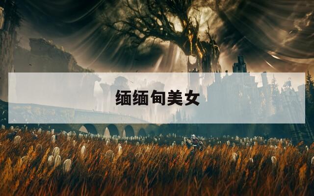缅缅甸美女
