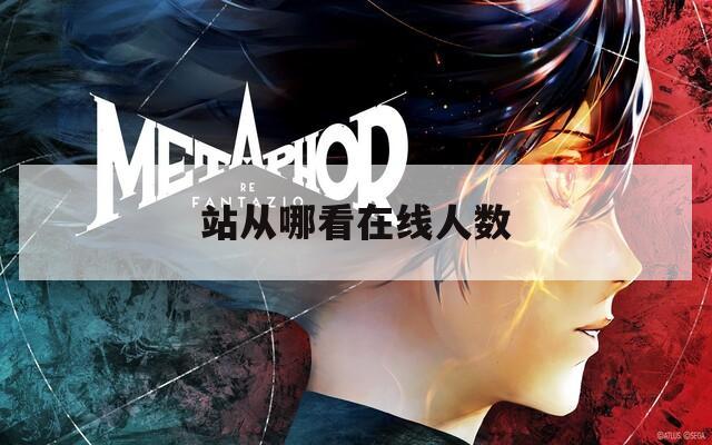 站从哪看在线人数  第1张