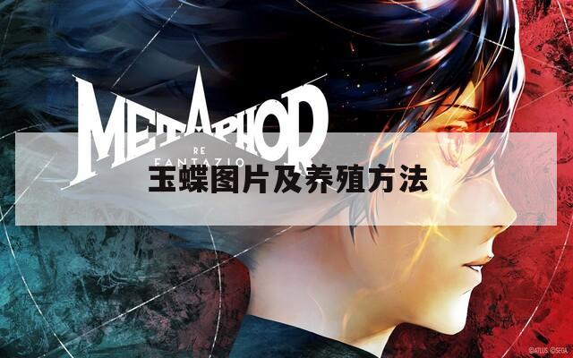 玉蝶图片及养殖方法  第1张