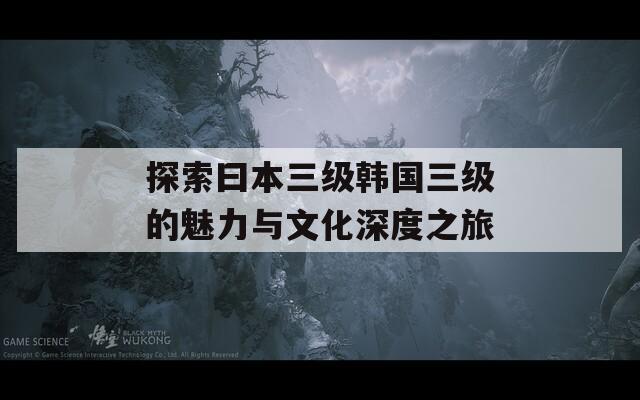 探索曰本三级韩国三级的魅力与文化深度之旅  第1张