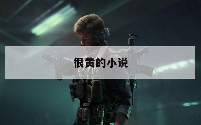 很黄的小说  第1张