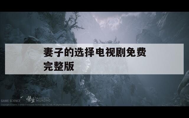 妻子的选择电视剧免费完整版  第1张