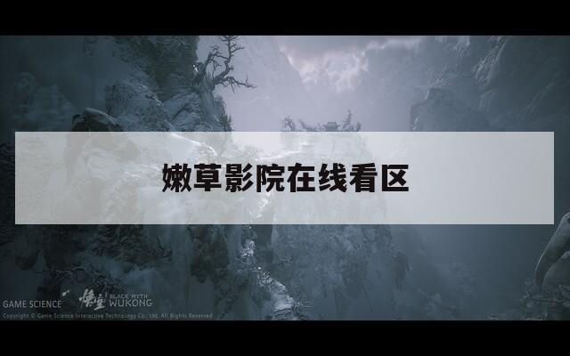 嫩草影院在线看区  第1张