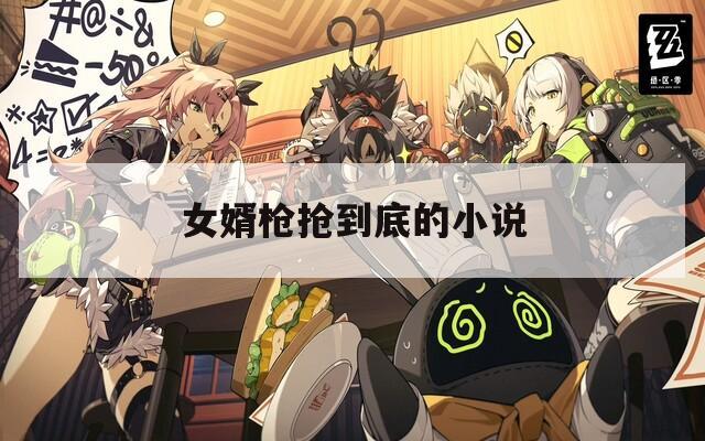女婿枪抢到底的小说