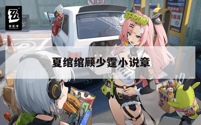 夏绾绾顾少霆小说章  第1张