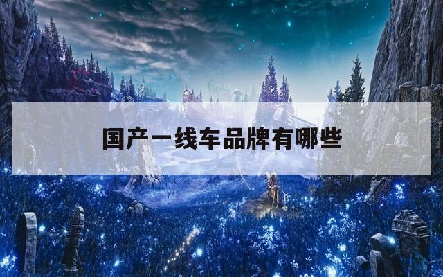 国产一线车品牌有哪些  第1张