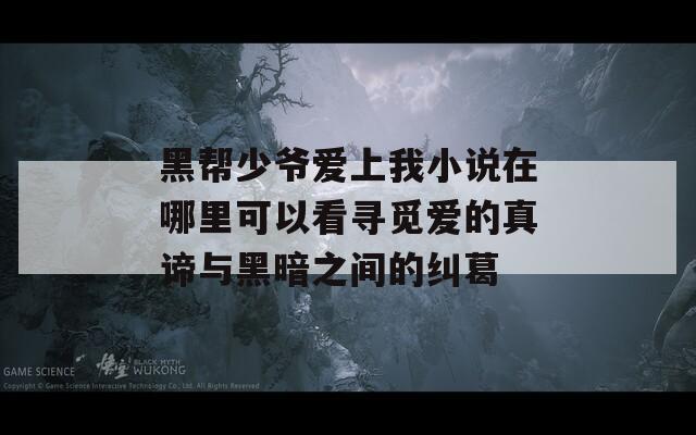 黑帮少爷爱上我小说在哪里可以看寻觅爱的真谛与黑暗之间的纠葛  第1张