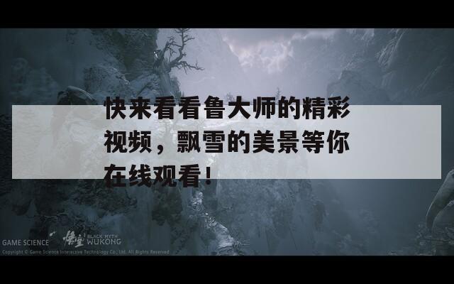 快来看看鲁大师的精彩视频，飘雪的美景等你在线观看！  第1张