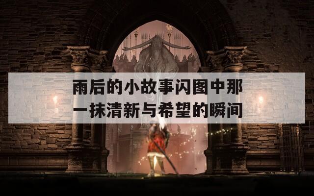 雨后的小故事闪图中那一抹清新与希望的瞬间