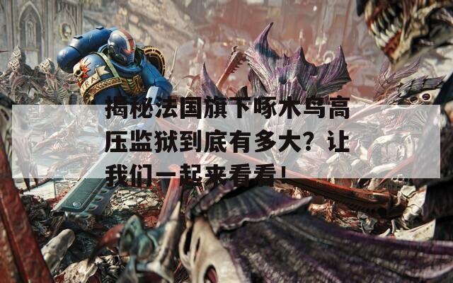 揭秘法国旗下啄木鸟高压监狱到底有多大？让我们一起来看看！  第1张