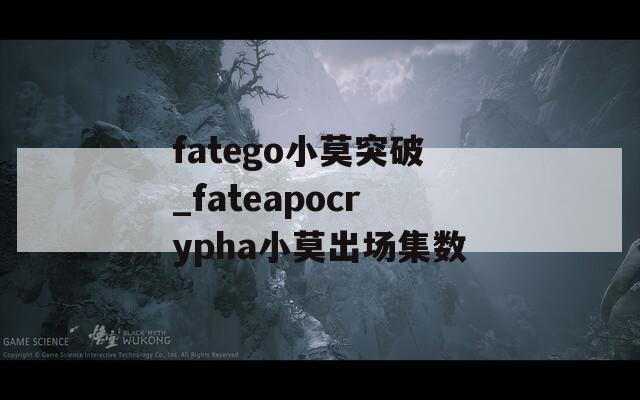 fatego小莫突破_fateapocrypha小莫出场集数