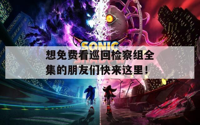 想免费看巡回检察组全集的朋友们快来这里！