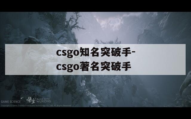 csgo知名突破手-csgo著名突破手