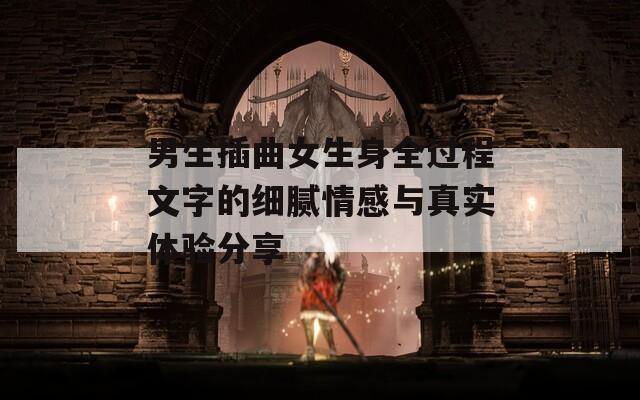 男生插曲女生身全过程文字的细腻情感与真实体验分享  第1张