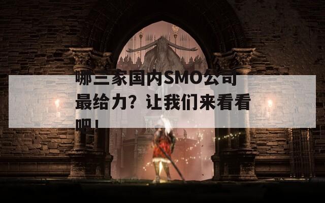 哪三家国内SMO公司最给力？让我们来看看吧！  第1张