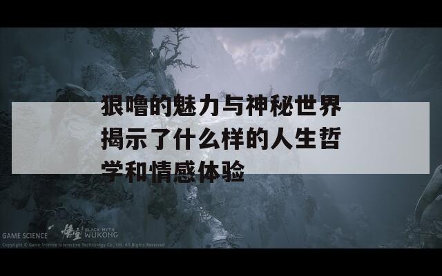 狠噜的魅力与神秘世界揭示了什么样的人生哲学和情感体验  第1张