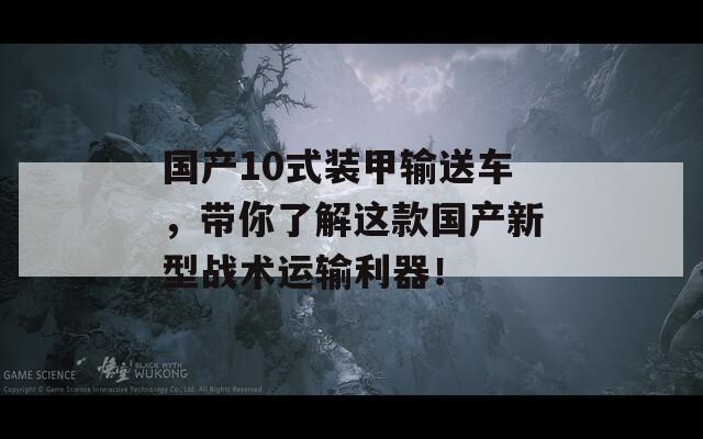 国产10式装甲输送车，带你了解这款国产新型战术运输利器！  第1张